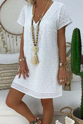 Robe Ligne A en Dentelle, Style Chic
